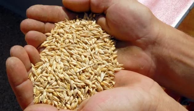 poland-investigates-activities-of-almost-a-hundred-agricultural-companies-suspected-of-fraud-with-ukrainian-grain-media