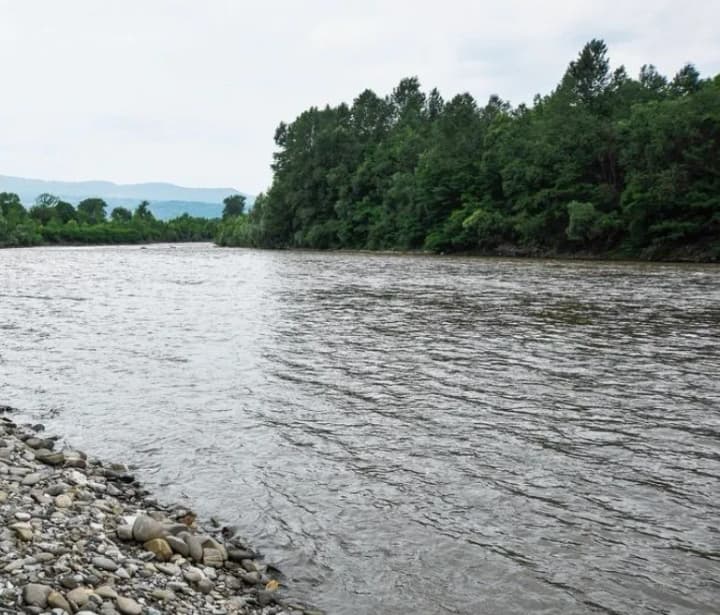granitsa-s-moldovoi-i-ruminiei-demchenko-nazval-populyarnie-uchastki-gde-proiskhodit-bolshe-vsego-popitok-nezakonnogo-peresecheniya-granitsi