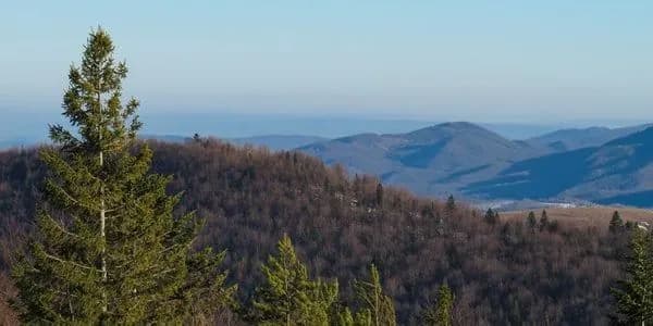body-of-man-found-in-carpathians-probably-tried-to-illegally-cross-the-border-sbgs