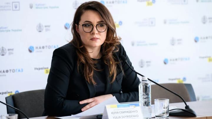 minekonomiky-stvoryt-nahliadovi-rady-u-tspto-vzhe-do-kintsia-roku-svyrydenko