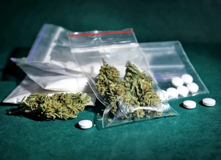 this-year-the-number-of-drugs-smuggled-across-the-border-of-ukraine-has-increased-several-times-state-customs-service