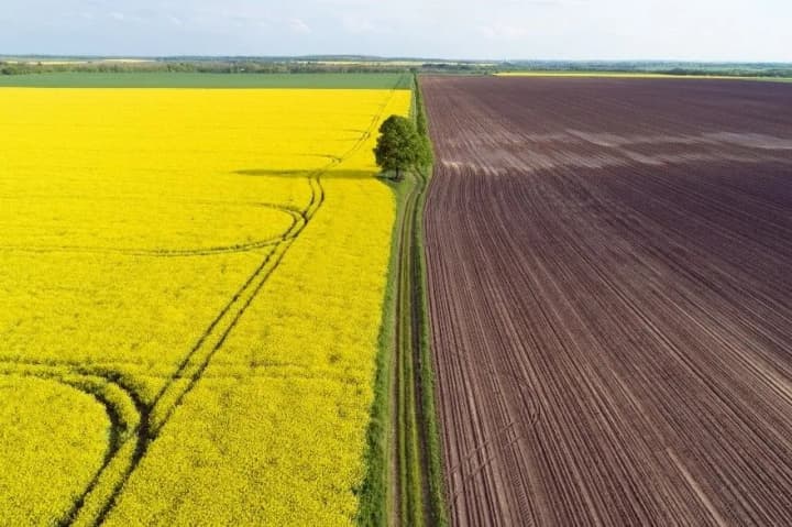 gosudarstvo-dolzhno-obespechit-pravo-voennikh-na-zemlyu-a-ne-prodavat-yee-advokat