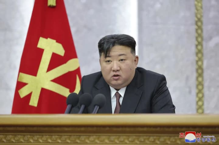dprk-seeks-medicine-abroad-for-kim-jong-un-ap