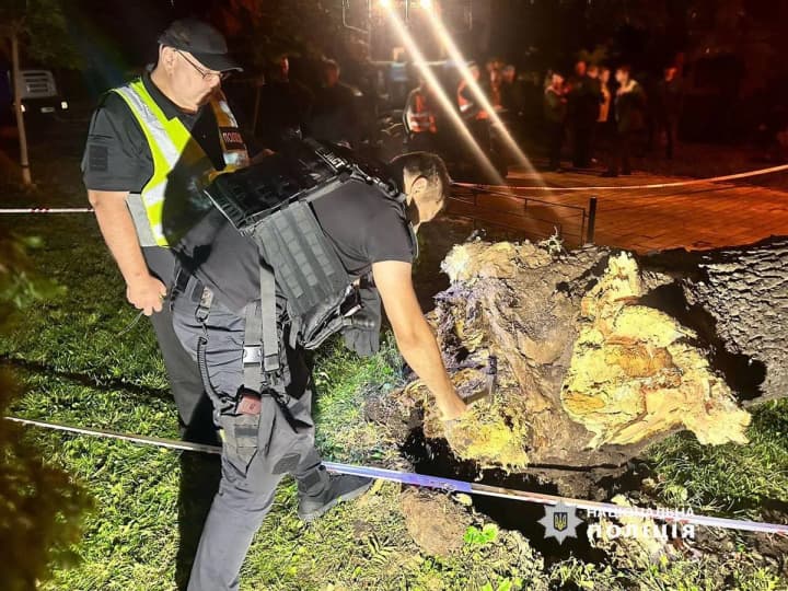 u-kyievi-vnaslidok-padinnia-dereva-u-parku-shevchenka-zahynula-zhinka