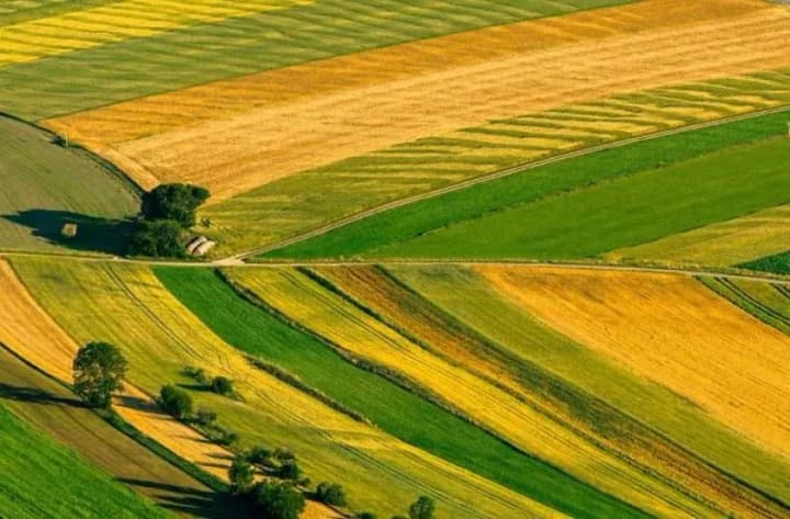 the-initiators-of-the-case-against-ex-minister-solskyi-lost-almost-half-of-the-state-land-complicating-the-nabu-investigation