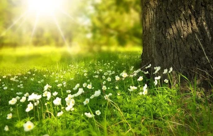 dry-weather-in-ukraine-on-august-13-temperature-up-to-32-in-the-south