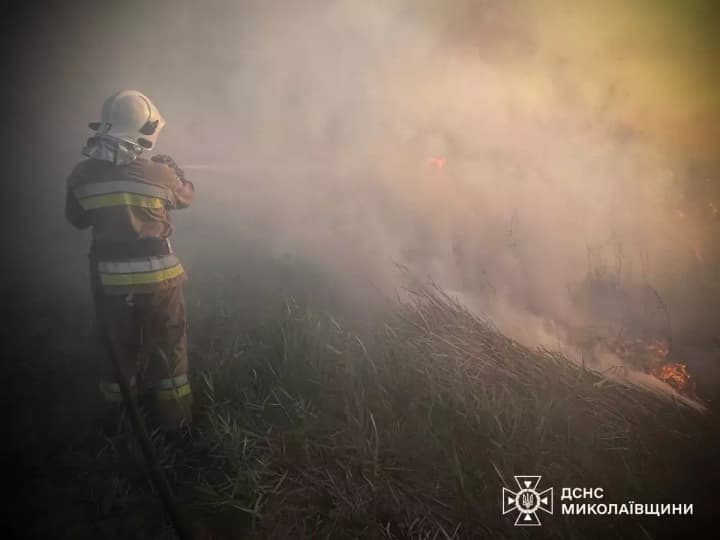 the-number-of-fires-in-ukrainian-ecosystems-has-doubled-since-last-summer