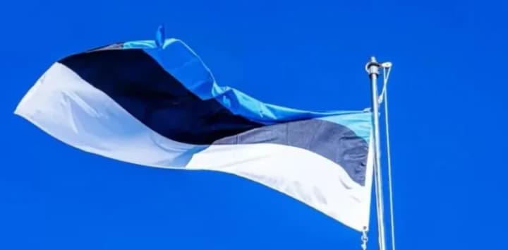 estoniia-planuie-vyrobliaty-boieprypasy-z-pochatku-2025-roku