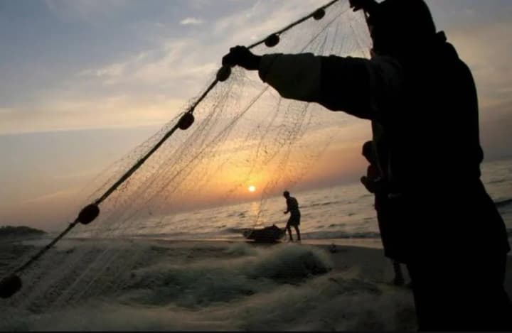 almost-uah-700-thousand-of-losses-were-caused-by-poachers-operating-at-the-kyiv-reservoir