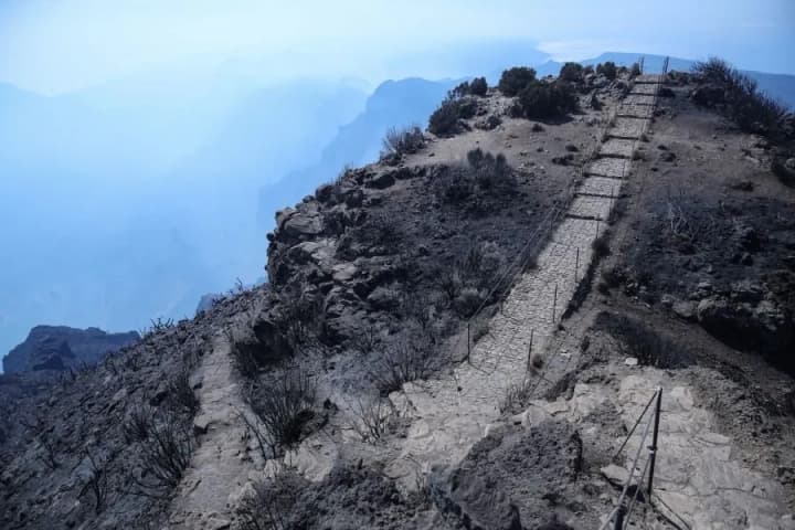 portugal-asks-for-eu-help-to-extinguish-fire-in-madeira-fire-threatens-to-destroy-unesco-listed-laurel-forest