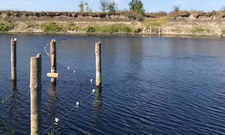 u-seimi-ta-desni-vzhe-vylovyly-17-tonn-mertvoi-ryby-derzhekoinspektsiia