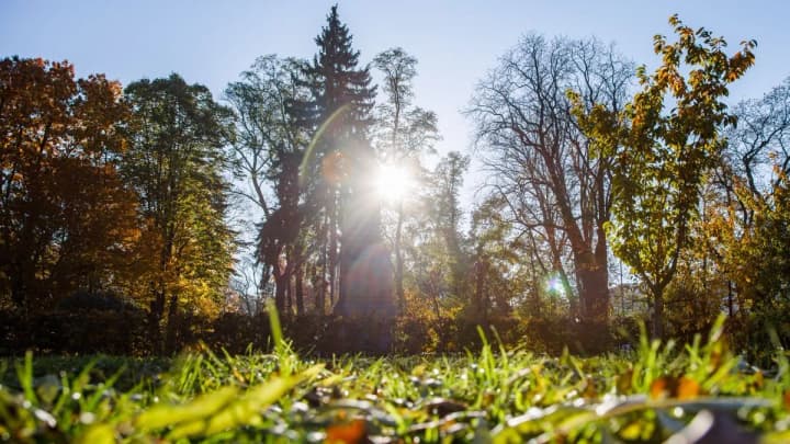warm-weather-without-precipitation-expected-in-kyiv-region-on-september-9