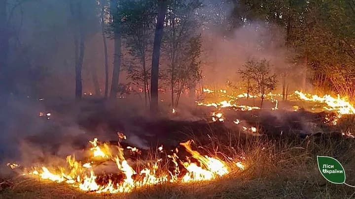 fires-destroyed-341-hectares-of-forest-in-ukraine-in-a-week-the-worst-situation-in-kirovohrad-region
