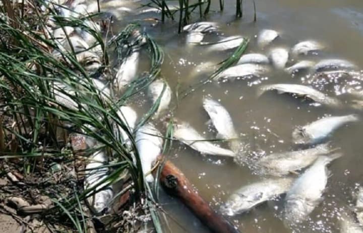 riski-po-pitevoi-vode-otsutstvuyut-zagryaznenie-desni-yeshche-prodvigaetsya-no-ekologi-prinimayut-meri-kontrolya