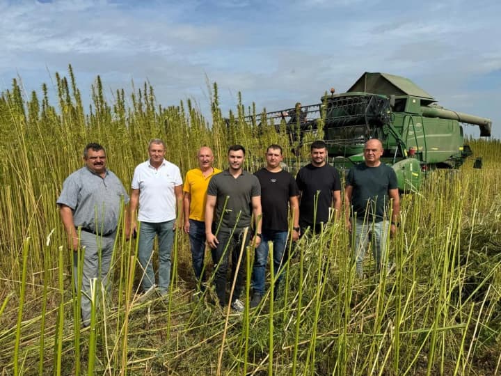 after-the-adoption-of-the-law-on-medical-cannabis-hemp-growing-is-actively-developing-in-ukraine-ministry-of-agrarian-policy