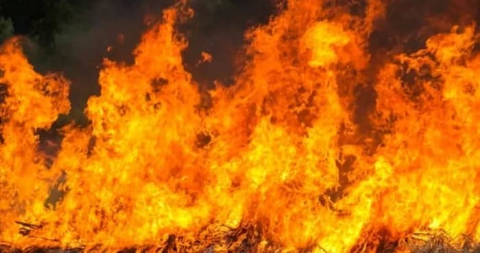 fire-of-1000-square-meters-localized-in-kyiv-region-ses