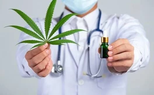 khto-mozhe-otrymaty-medychnyi-kanabis-moz-zatverdylo-perelik-khvorob-i-staniv