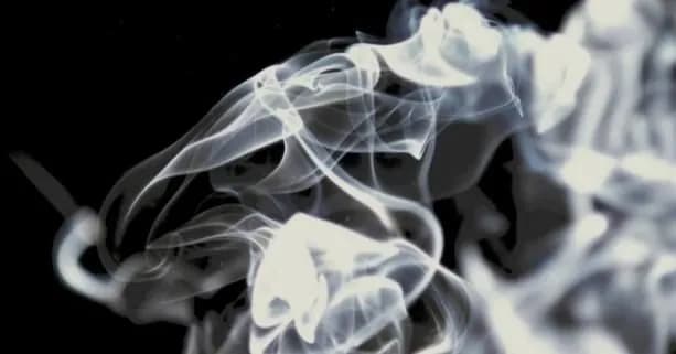 v-ivano-frankivsku-chadnym-hazom-otruilas-tsila-simia