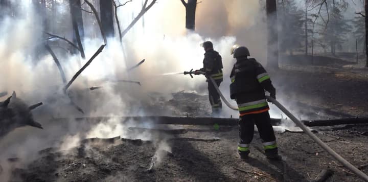 v-donetskoi-oblasti-likvidiruyut-lesnie-pozhari-na-ploshchadi-90-ga-ugrozi-naselennim-punktam-net-gschs