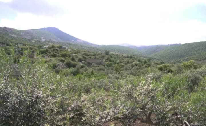 khezbolla-dolzhna-nakhoditsya-podalshe-ot-granitsi-s-izrailem-livanskie-smi-o-dokumente-ssha