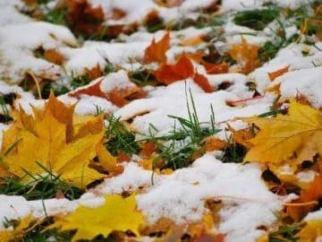 first-snow-in-ukraine-when-to-expect-a-sharp-cold-snap-and-weather-changes