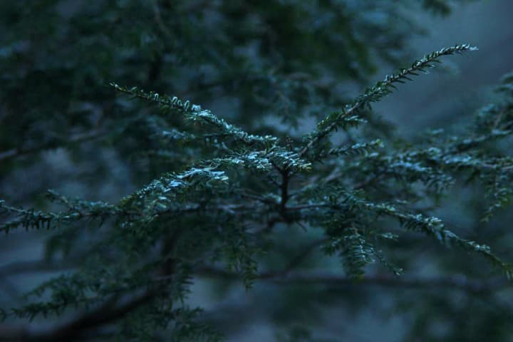 mokryi-snih-ta-sylnyi-viter-prohnoz-pohody-na-sohodni