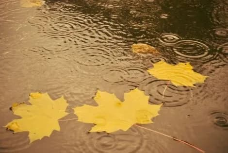 weather-in-ukraine-where-to-expect-rain-today-and-what-the-temperature-will-be