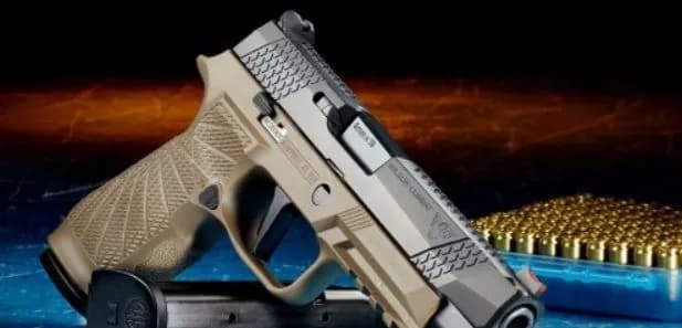 civilians-will-be-able-to-use-declared-weapons-to-deter-armed-aggression-in-russia