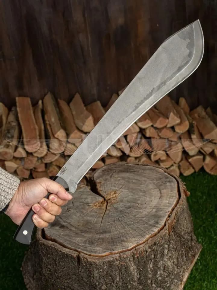 sud-oshtrafoval-zakarpattsa-kotorii-s-machete-i-v-maske-dedpula-podralsya-s-politseiskimi