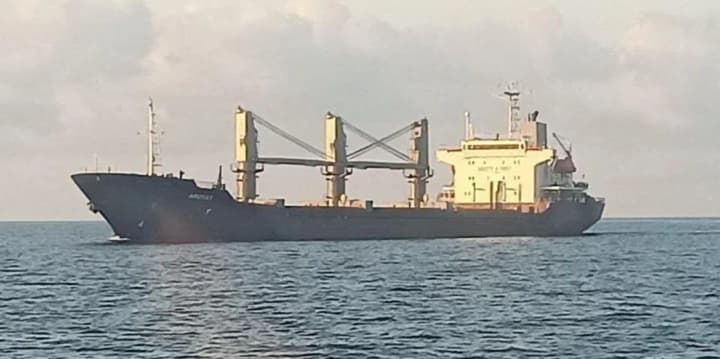 pletenchuk-on-how-russia-sells-ukrainian-grain-they-sell-it-with-forged-documents-as-their-own-products