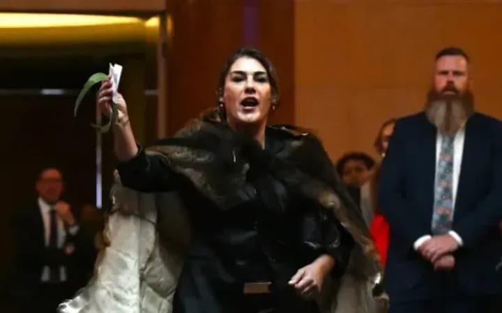 australian-senate-condemns-senator-for-shouting-at-king-charles-iii