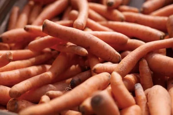 massive-recall-of-organic-carrots-in-the-us-due-to-dangerous-e-coli