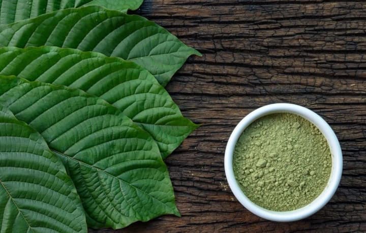 in-ukraine-the-sale-of-kratom-plants-was-banned-changes-to-the-list-of-narcotic-substances