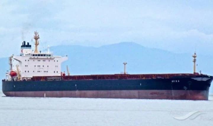 shvetsiya-rassleduet-vozmozhnuyu-prichastnost-kitaiskogo-sudna-k-povrezhdeniyu-kabelei-v-baltiiskom-more-smi