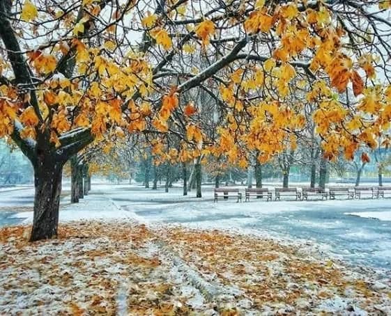 weather-in-ukraine-on-november-27-where-there-will-be-wet-snow-and-sub-zero-temperatures