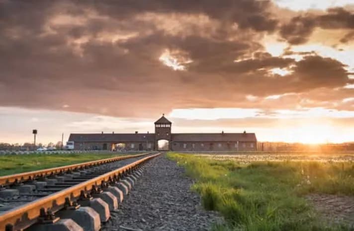 devochka-kotoruyu-schitali-pogibshei-v-aushvitse-nashlas-zhivoi-cherez-81-god