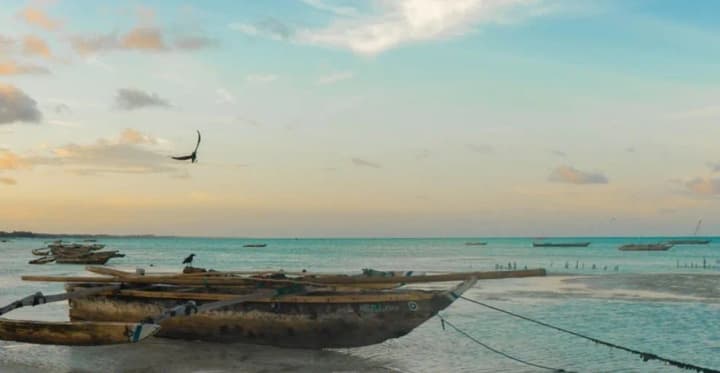 smertelne-otruiennia-na-filippinakh-shcho-stalosia-pislia-vzhyvannia-miasa-ridkisnoi-cherepakhy