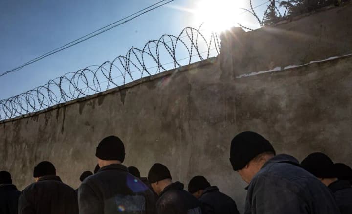 ukraine-on-the-statement-of-the-russian-federation-regarding-the-readiness--to-exchange-prisoners-this-game-of-russians-is-only-for-the-public