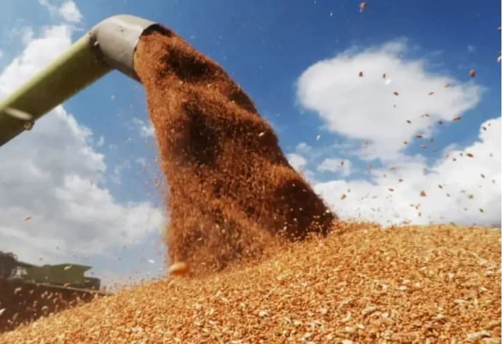 invaders-in-zaporizhia-stole-14-million-tons-of-ukrainian-grain-andryushchenko