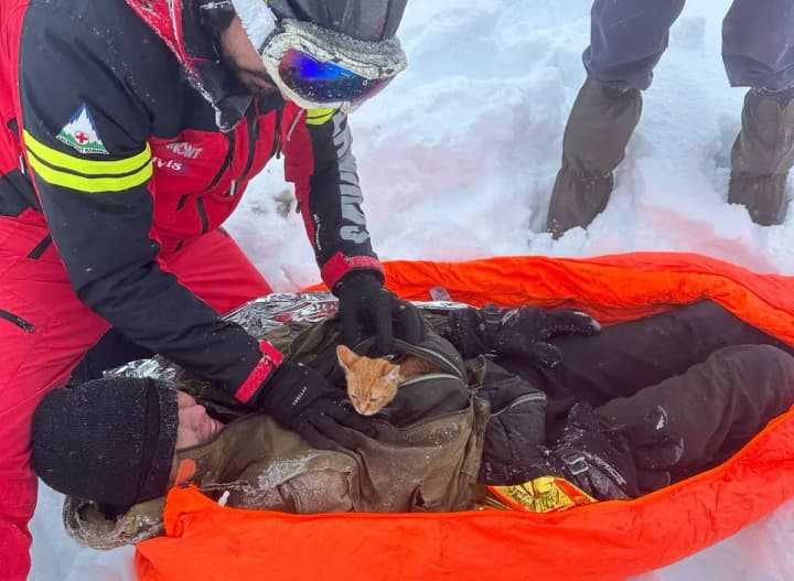 in-the-mountains-of-romania-a-28-year-old-ukrainian-evader-fell-into-a-400-meter-ravine-a-man-was-saved-from-death-by-a-cat