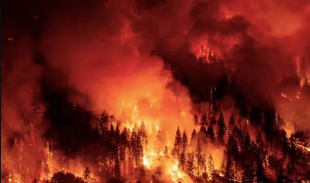 2024-will-set-a-new-temperature-record-for-the-entire-history-of-observations-the-guardian