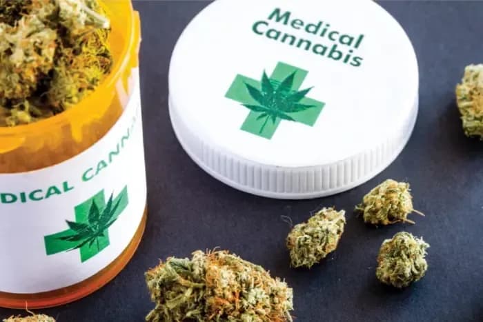 liky-z-medychnoho-kanabisu-v-ukraini-budut-dostupni-z-nastupnoho-roku-stefanyshyna