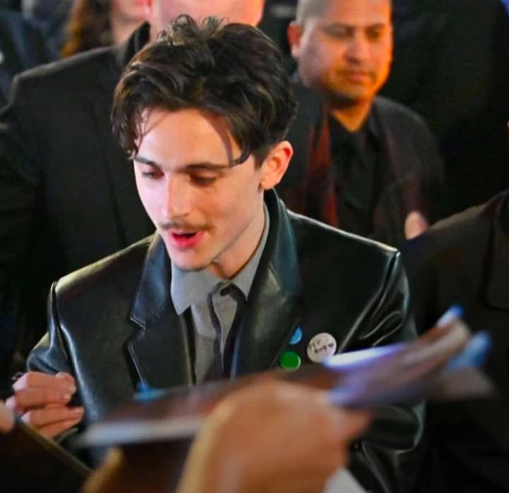 timothee-chalamet-impresses-with-his-image-at-the-premiere-of-the-biopic-about-bob-dylan