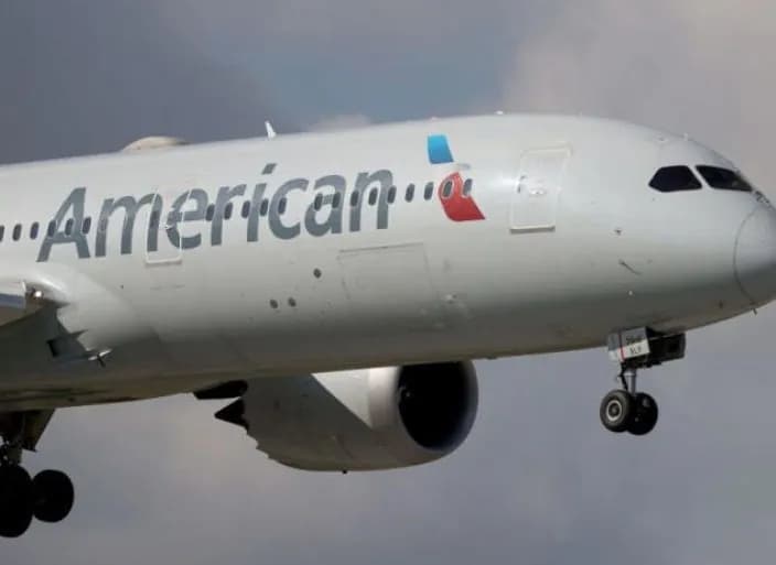 american-airlines-plane-makes-emergency-landing-after-collision-with-a-bird
