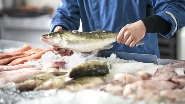 ukrainian-fish-may-appear-on-the-menu-of-schools-hospitals-and-the-armed-forces-what-the-ministry-of-agrarian-policy-says