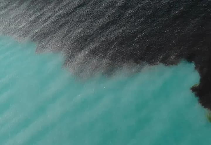 posledstviya-razliva-nefteproduktov-v-chernom-more-proyavyatsya-v-blizhaishie-dni-grinpis