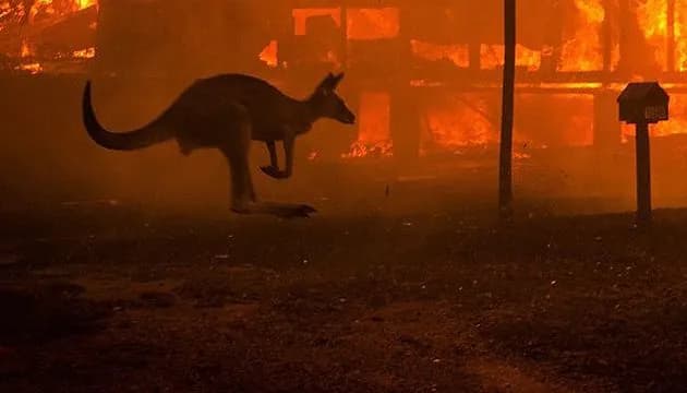 large-scale-evacuation-in-australia-hundreds-of-people-leave-their-homes-due-to-fires