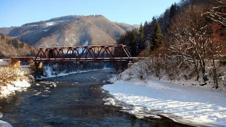 v-tysi-pomerlo-blyzko-50-liudei-pry-sprobi-vtekty-za-kordon-dpsu