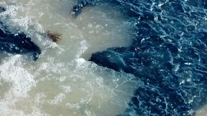 razliv-mazuta-v-kerchenskom-prolive-predstavlyaet-ugrozu-dlya-unikalnikh-prirodnikh-territorii