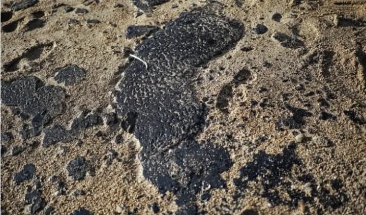 studentiv-bez-zakhystu-zmushuiut-prybyraty-uzberezhzhia-chornoho-moria-vid-mazutu